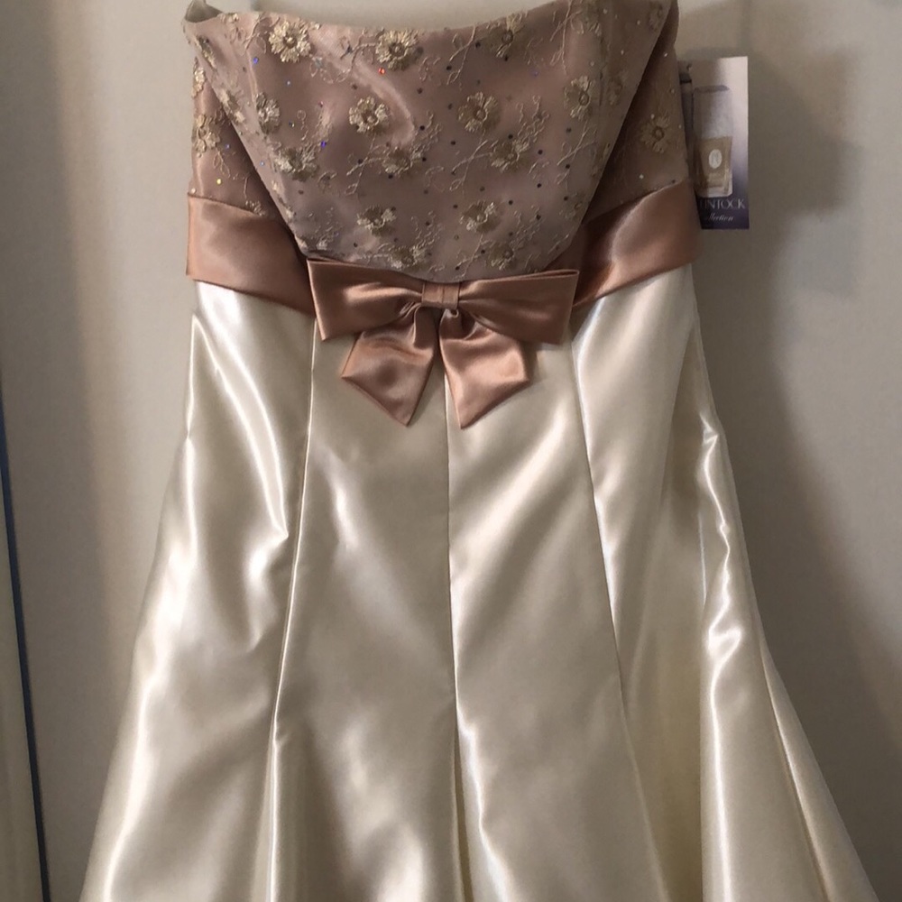 Jessica McClintock dress